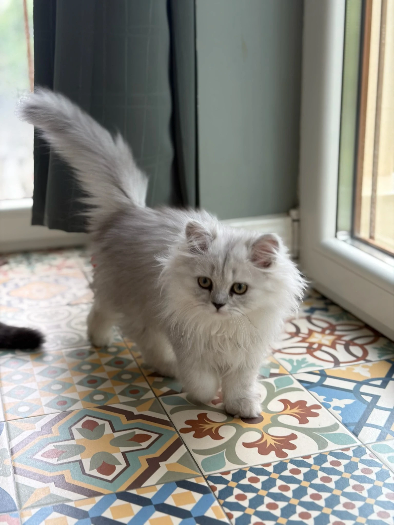 Bowie